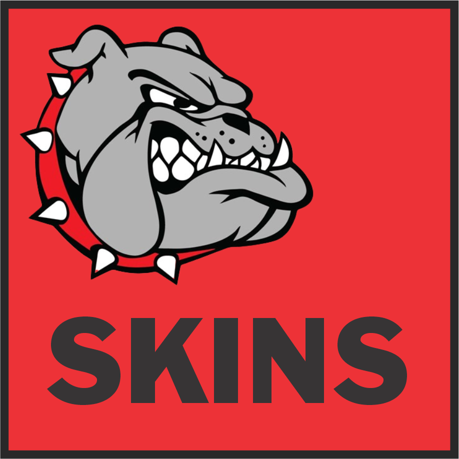 Skins League image