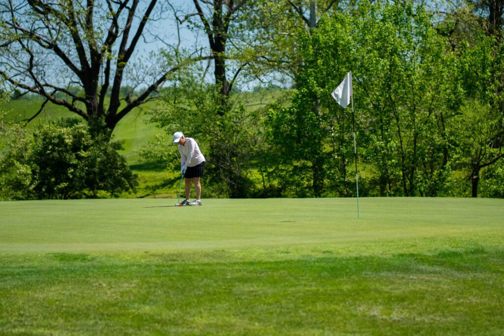Golfer prepares his putt on the green.